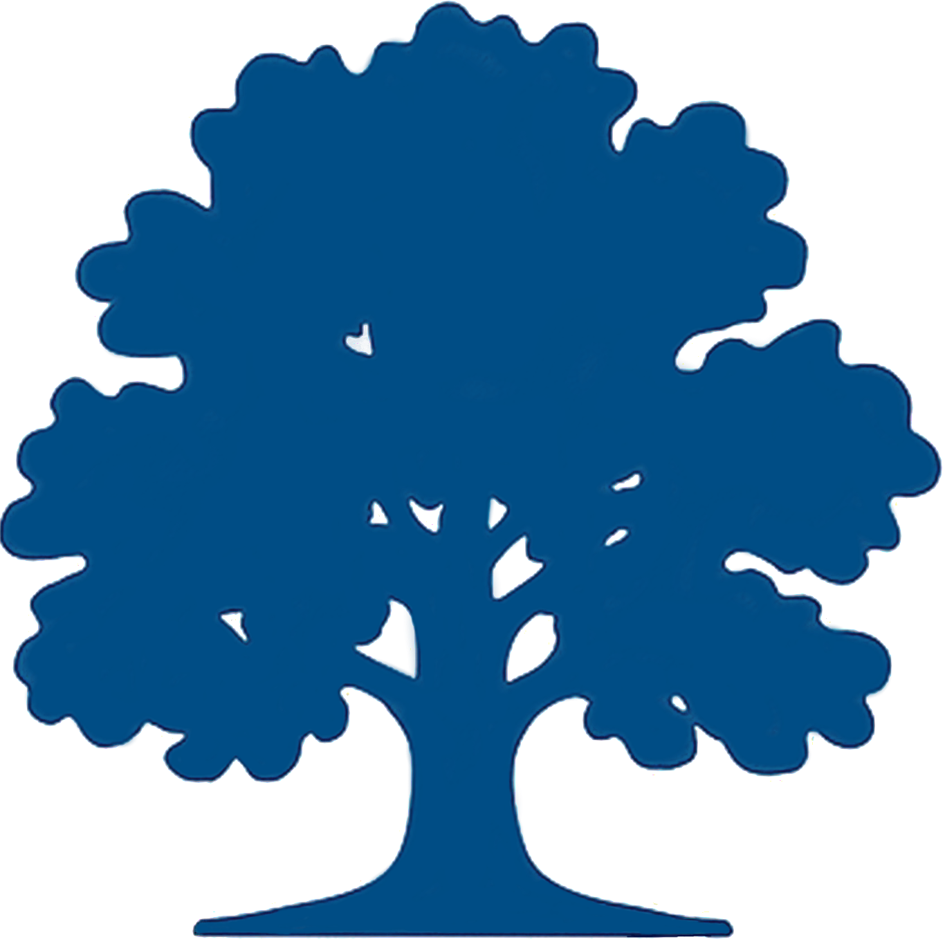 Blue Oak Tree Logo